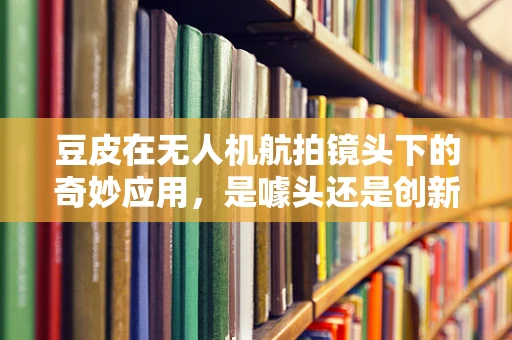 豆皮在无人机航拍镜头下的奇妙应用，是噱头还是创新之举？