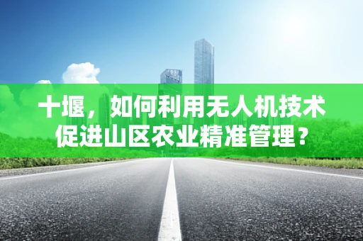 十堰，如何利用无人机技术促进山区农业精准管理？