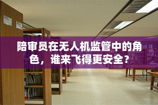 陪审员在无人机监管中的角色，谁来飞得更安全？