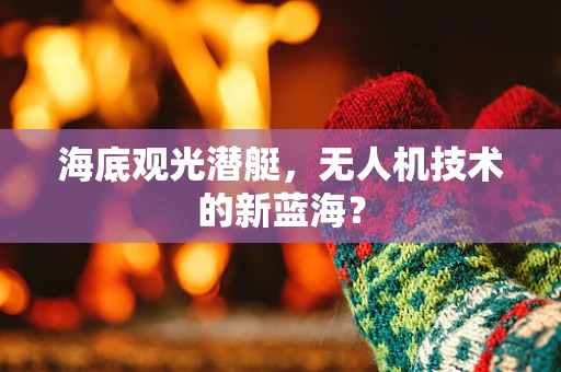 海底观光潜艇，无人机技术的新蓝海？