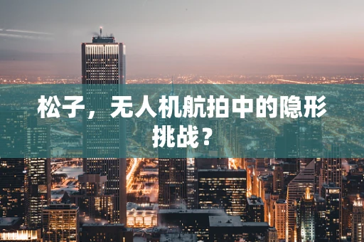松子，无人机航拍中的隐形挑战？