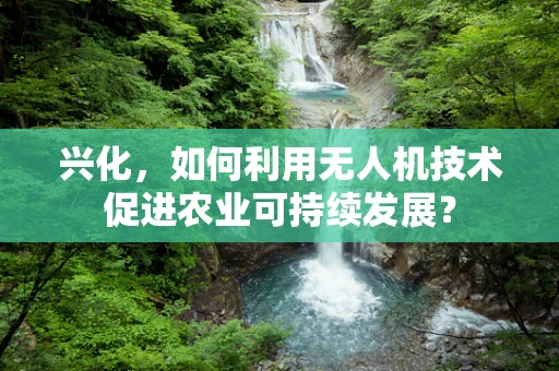 兴化，如何利用无人机技术促进农业可持续发展？