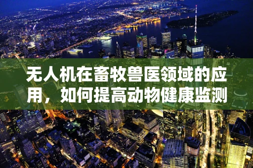 无人机在畜牧兽医领域的应用，如何提高动物健康监测的效率？