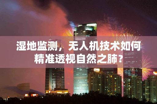 湿地监测，无人机技术如何精准透视自然之肺？