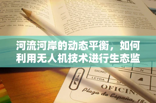 河流河岸的动态平衡，如何利用无人机技术进行生态监测？