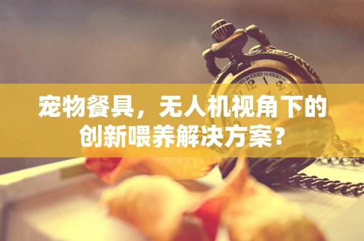 宠物餐具，无人机视角下的创新喂养解决方案？