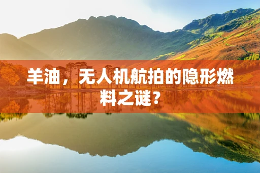 羊油，无人机航拍的隐形燃料之谜？