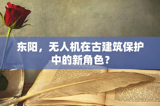 东阳，无人机在古建筑保护中的新角色？