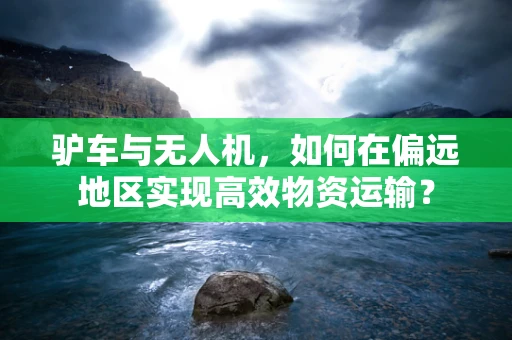 驴车与无人机，如何在偏远地区实现高效物资运输？