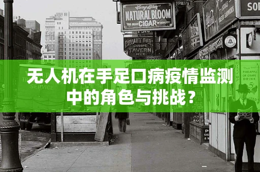 无人机在手足口病疫情监测中的角色与挑战？
