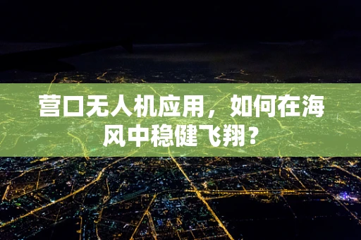 营口无人机应用，如何在海风中稳健飞翔？