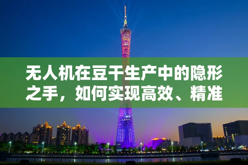 无人机在豆干生产中的隐形之手，如何实现高效、精准的监控？