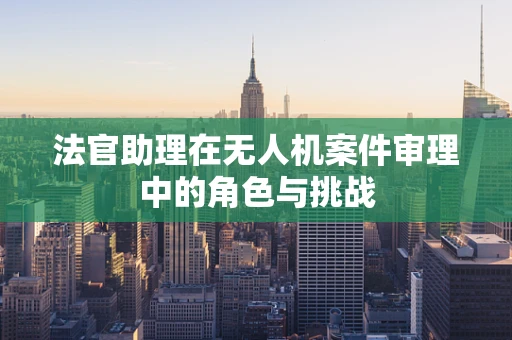 法官助理在无人机案件审理中的角色与挑战