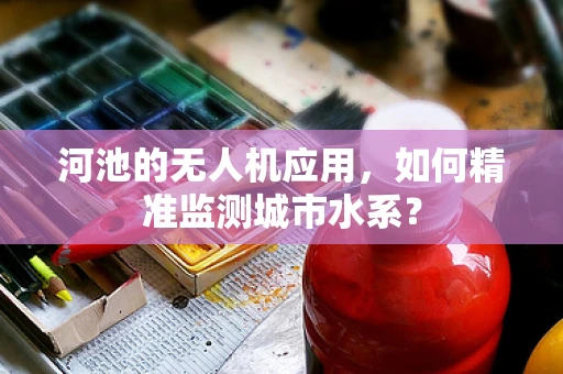 河池的无人机应用，如何精准监测城市水系？