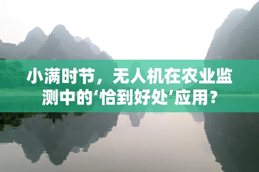 小满时节，无人机在农业监测中的‘恰到好处’应用？