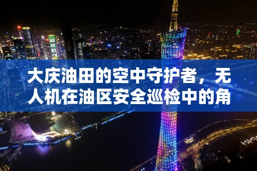 大庆油田的空中守护者，无人机在油区安全巡检中的角色与挑战？