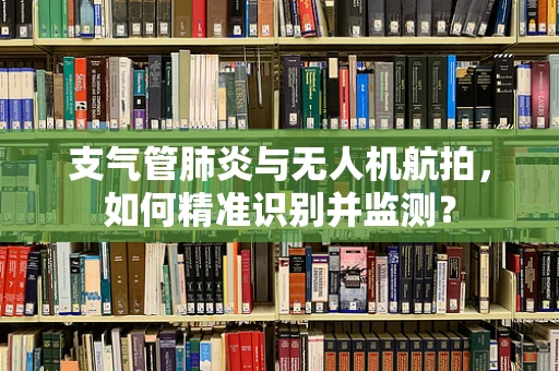 支气管肺炎与无人机航拍，如何精准识别并监测？