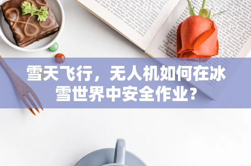 雪天飞行，无人机如何在冰雪世界中安全作业？