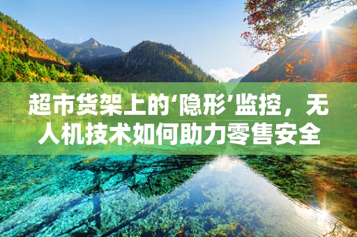 超市货架上的‘隐形’监控，无人机技术如何助力零售安全？