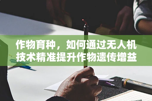 作物育种，如何通过无人机技术精准提升作物遗传增益？