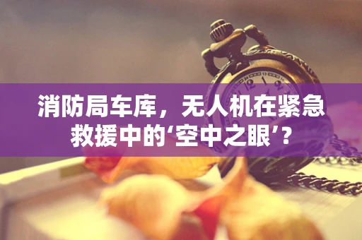 消防局车库，无人机在紧急救援中的‘空中之眼’？