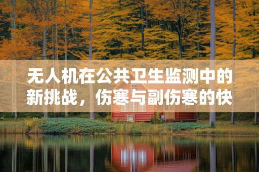 无人机在公共卫生监测中的新挑战，伤寒与副伤寒的快速识别
