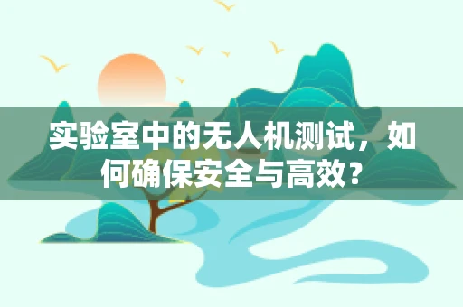 实验室中的无人机测试，如何确保安全与高效？