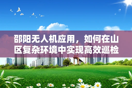 邵阳无人机应用，如何在山区复杂环境中实现高效巡检？