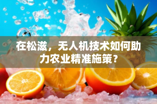 在松滋，无人机技术如何助力农业精准施策？