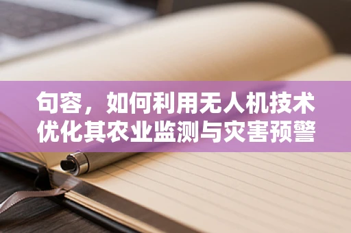 句容，如何利用无人机技术优化其农业监测与灾害预警？
