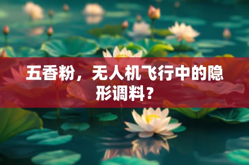五香粉，无人机飞行中的隐形调料？