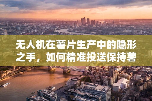 无人机在薯片生产中的隐形之手，如何精准投送保持薯片酥脆？