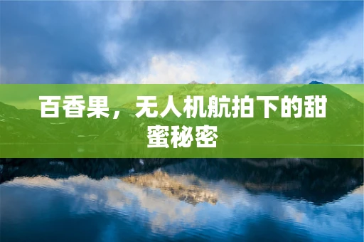 百香果，无人机航拍下的甜蜜秘密