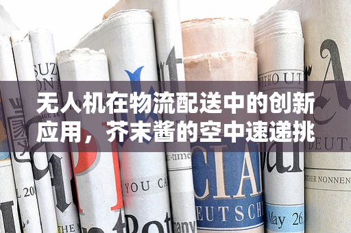 无人机在物流配送中的创新应用，芥末酱的空中速递挑战