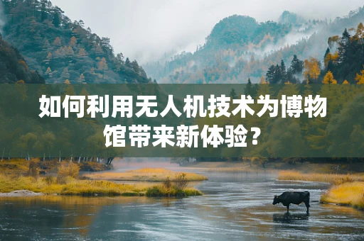 如何利用无人机技术为博物馆带来新体验？