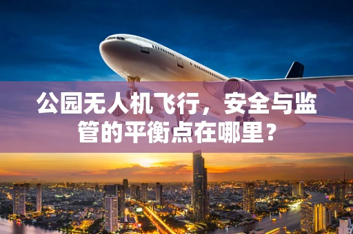公园无人机飞行，安全与监管的平衡点在哪里？