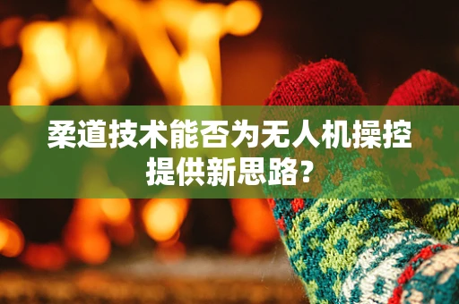 柔道技术能否为无人机操控提供新思路？