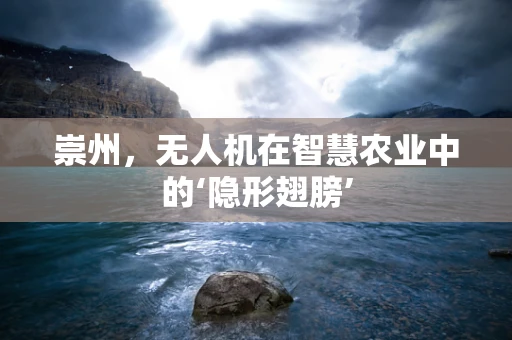 崇州，无人机在智慧农业中的‘隐形翅膀’