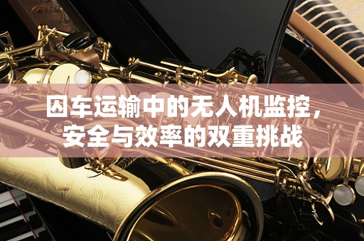 囚车运输中的无人机监控，安全与效率的双重挑战