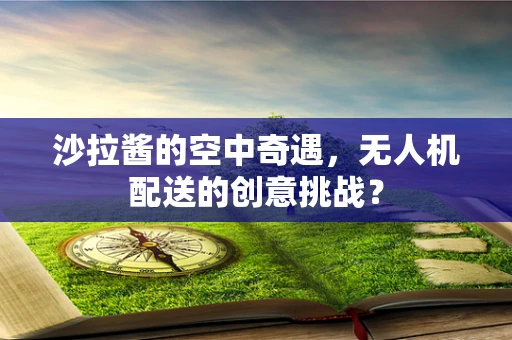 沙拉酱的空中奇遇，无人机配送的创意挑战？
