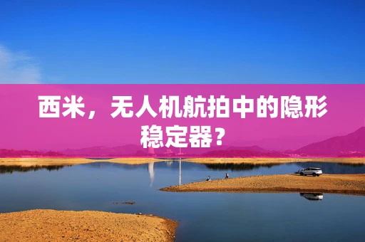 西米，无人机航拍中的隐形稳定器？