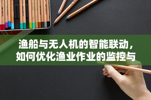 渔船与无人机的智能联动，如何优化渔业作业的监控与效率？