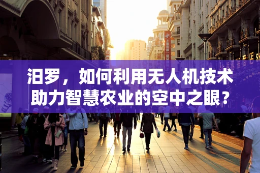 汨罗，如何利用无人机技术助力智慧农业的空中之眼？