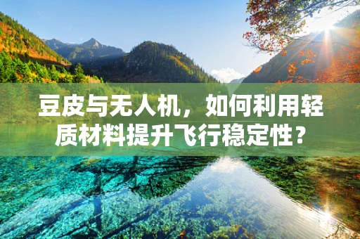 豆皮与无人机，如何利用轻质材料提升飞行稳定性？