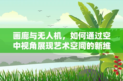 画廊与无人机，如何通过空中视角展现艺术空间的新维度？