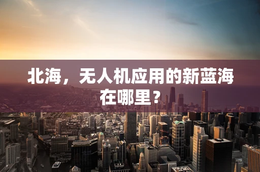 北海，无人机应用的新蓝海在哪里？