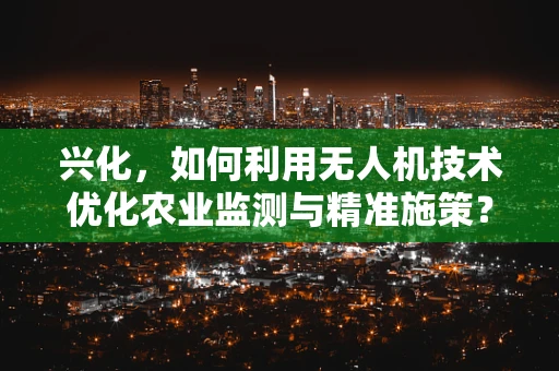 兴化，如何利用无人机技术优化农业监测与精准施策？