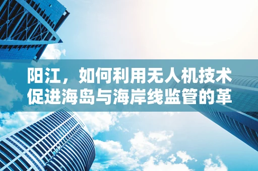 阳江，如何利用无人机技术促进海岛与海岸线监管的革新？