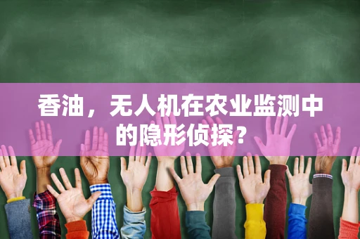 香油，无人机在农业监测中的隐形侦探？