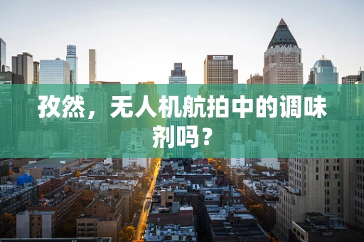 孜然，无人机航拍中的调味剂吗？